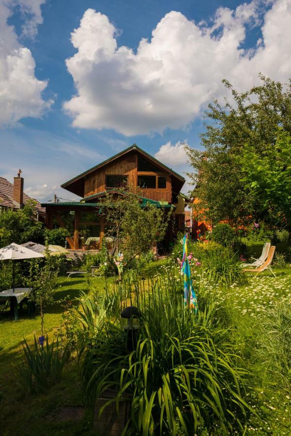 Casa Natalia Hotel Braszów Zewnętrze zdjęcie