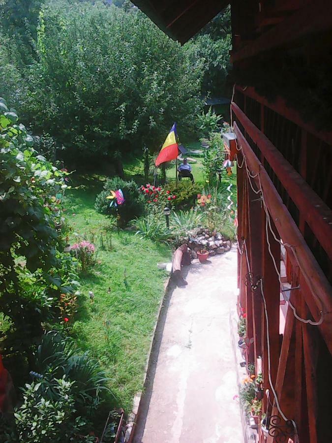 Casa Natalia Hotel Braszów Zewnętrze zdjęcie