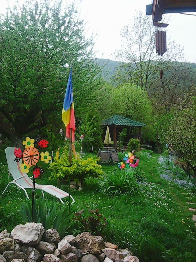 Casa Natalia Hotel Braszów Zewnętrze zdjęcie