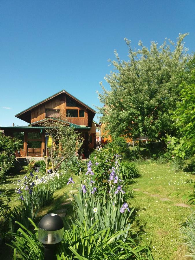 Casa Natalia Hotel Braszów Zewnętrze zdjęcie